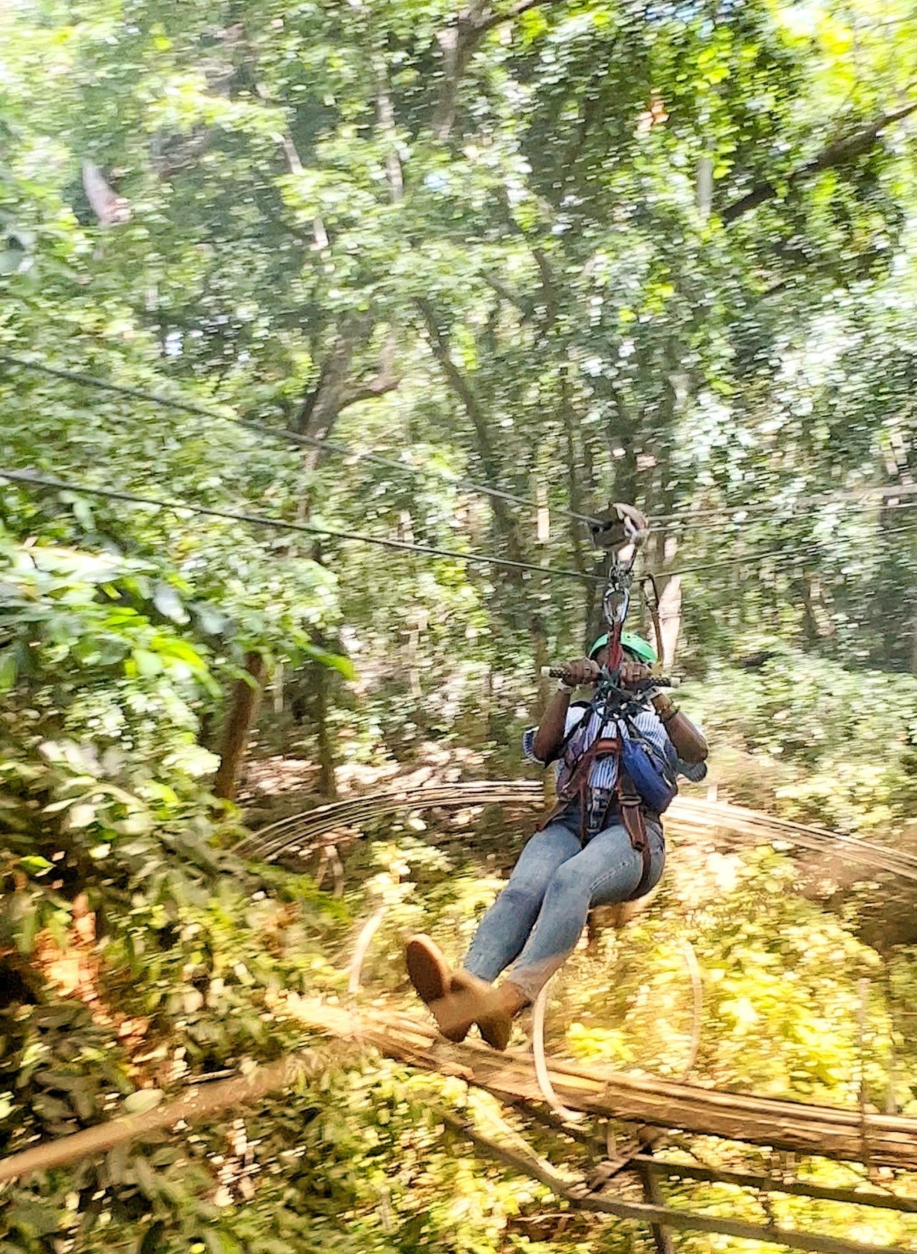 Zip-lining through the trees with Experience Jamaica Tours